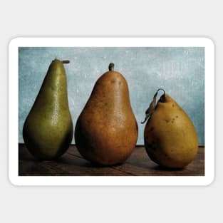 Three Pears - Still Life Sticker